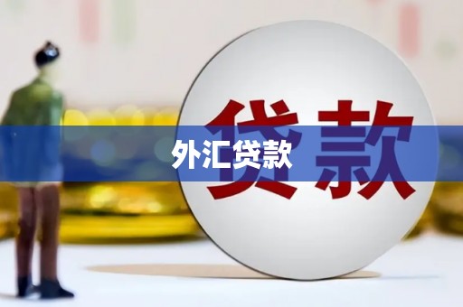 纳雍外汇贷款