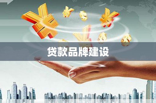 纳雍贷款品牌建设
