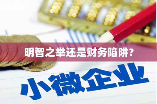 纳雍明智之举还是财务陷阱？