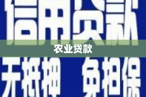 纳雍农业贷款