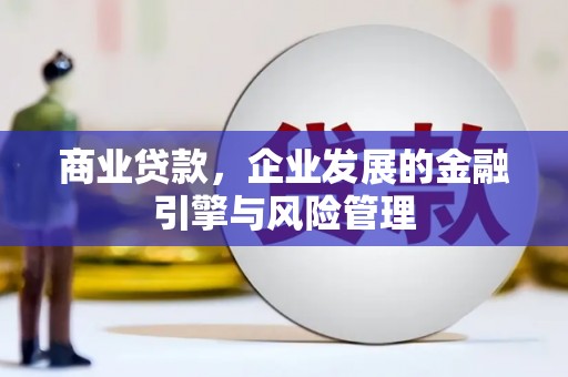 纳雍商业贷款，企业发展的金融引擎与风险管理