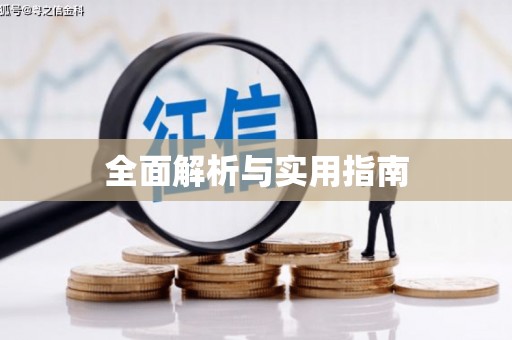 纳雍全面解析与实用指南