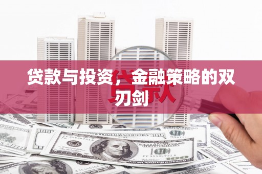 纳雍贷款与投资，金融策略的双刃剑