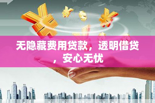 纳雍无隐藏费用贷款，透明借贷，安心无忧