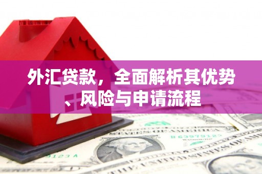 纳雍外汇贷款，全面解析其优势、风险与申请流程