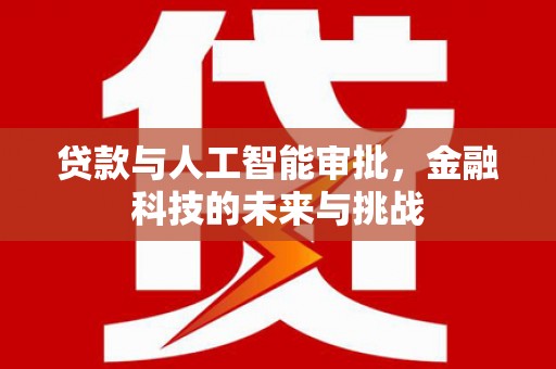 纳雍贷款与人工智能审批，金融科技的未来与挑战