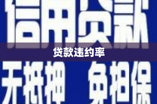 纳雍贷款违约率