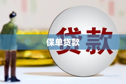 纳雍保单贷款