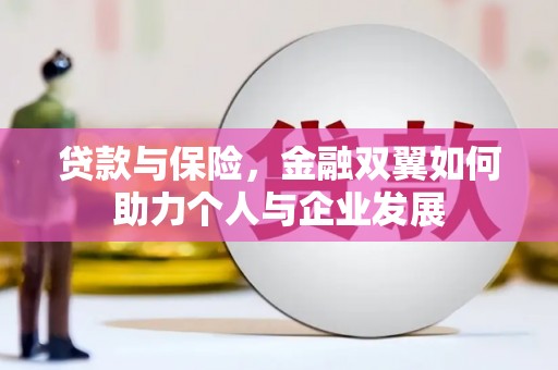 纳雍贷款与保险，金融双翼如何助力个人与企业发展