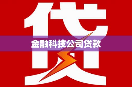 纳雍金融科技公司贷款