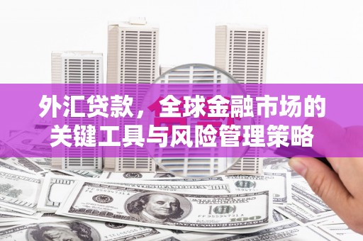 纳雍外汇贷款，全球金融市场的关键工具与风险管理策略