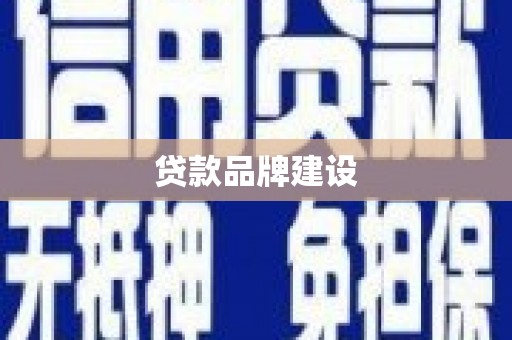 纳雍贷款品牌建设