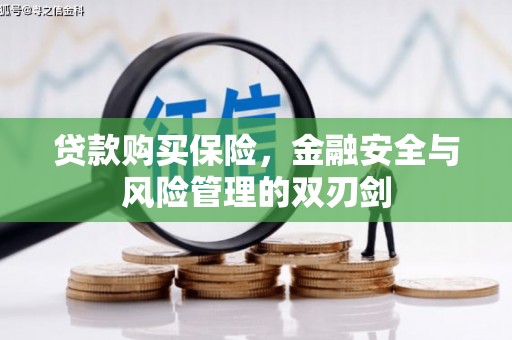 纳雍贷款购买保险，金融安全与风险管理的双刃剑