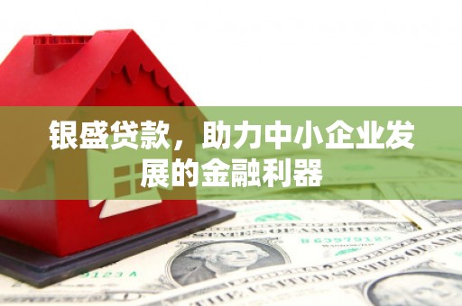 纳雍银盛贷款，助力中小企业发展的金融利器