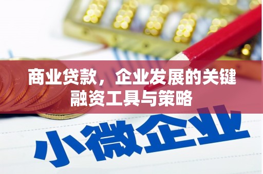 纳雍商业贷款，企业发展的关键融资工具与策略