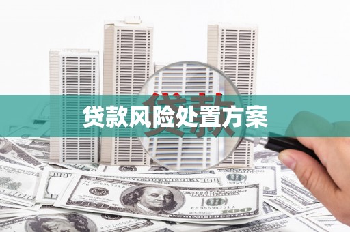 纳雍贷款风险处置方案