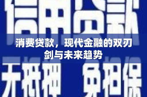 纳雍消费贷款，现代金融的双刃剑与未来趋势