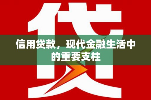 纳雍信用贷款，现代金融生活中的重要支柱