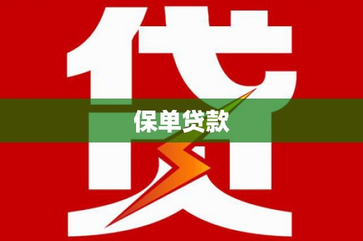 纳雍保单贷款