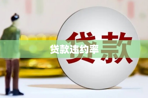 纳雍贷款违约率