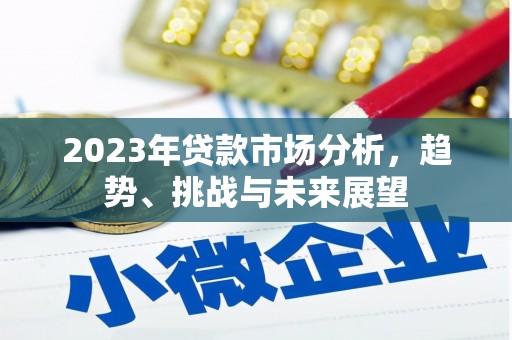 纳雍2023年贷款市场分析，趋势、挑战与未来展望