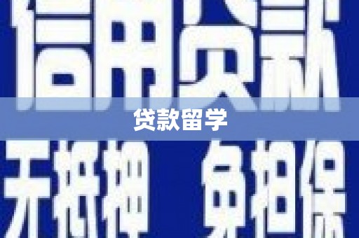 纳雍贷款留学