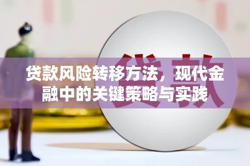 纳雍贷款风险转移方法，现代金融中的关键策略与实践