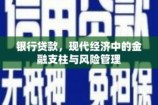 纳雍银行贷款，现代经济中的金融支柱与风险管理