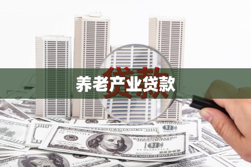 纳雍养老产业贷款