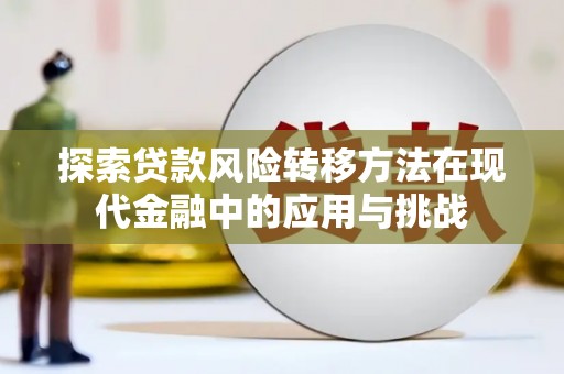 纳雍探索贷款风险转移方法在现代金融中的应用与挑战