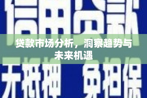 纳雍贷款市场分析，洞察趋势与未来机遇
