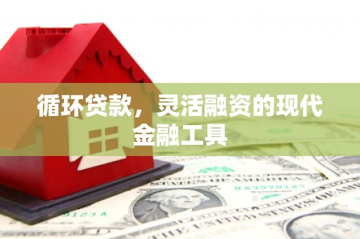 纳雍循环贷款，灵活融资的现代金融工具
