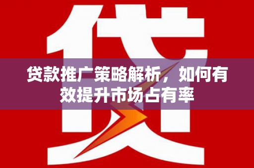 纳雍贷款推广策略解析，如何有效提升市场占有率