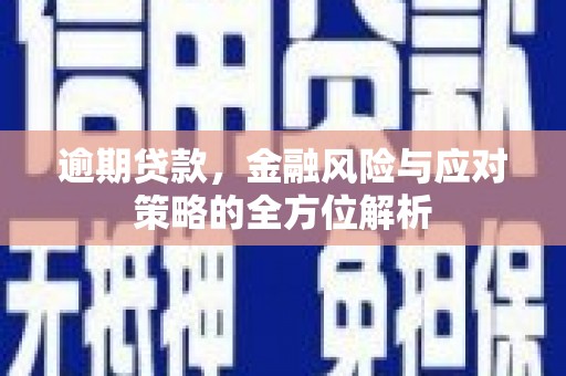 纳雍逾期贷款，金融风险与应对策略的全方位解析