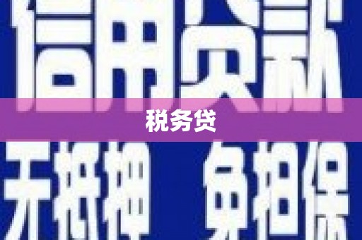 纳雍税务贷