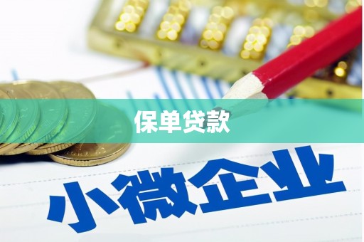 纳雍保单贷款