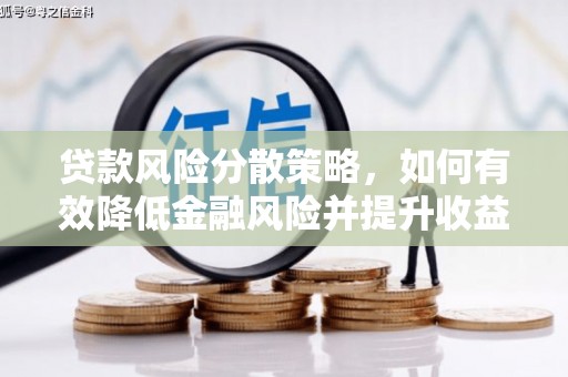 纳雍贷款风险分散策略，如何有效降低金融风险并提升收益