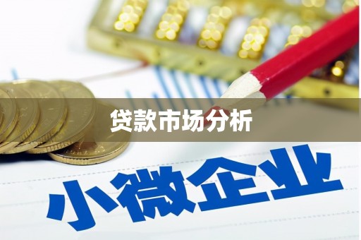 纳雍贷款市场分析