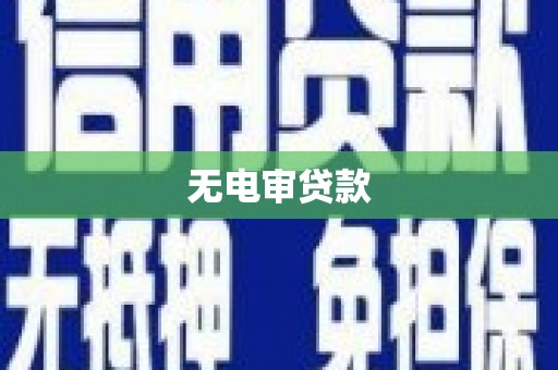 纳雍无电审贷款