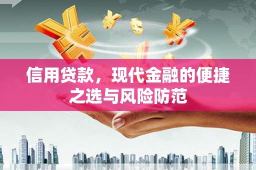 纳雍信用贷款，现代金融的便捷之选与风险防范