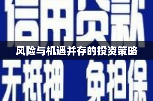 纳雍风险与机遇并存的投资策略