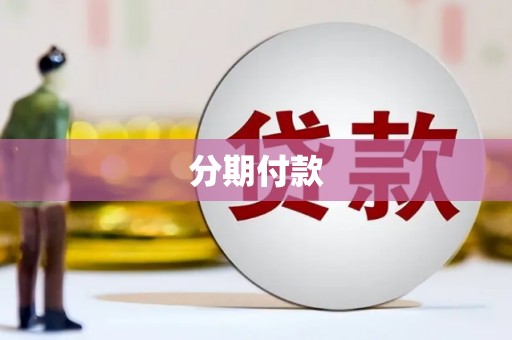 纳雍分期付款