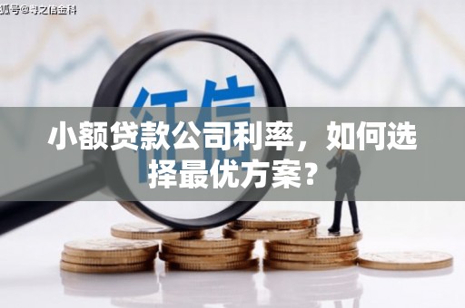 纳雍小额贷款公司利率，如何选择最优方案？
