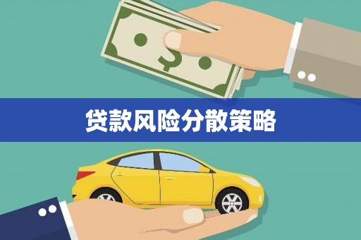 纳雍贷款风险分散策略