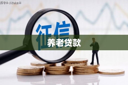 纳雍养老贷款