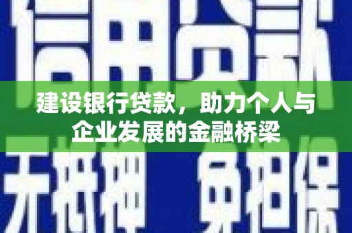 纳雍建设银行贷款，助力个人与企业发展的金融桥梁