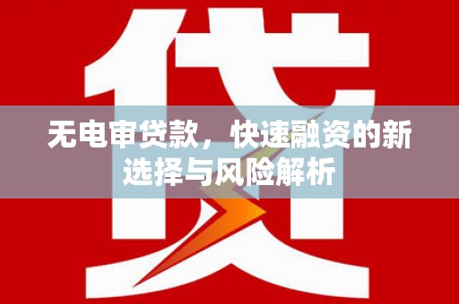 纳雍无电审贷款，快速融资的新选择与风险解析