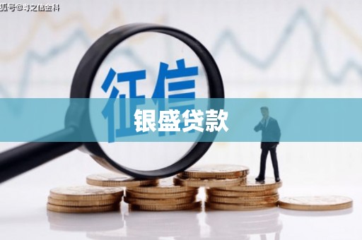 纳雍银盛贷款