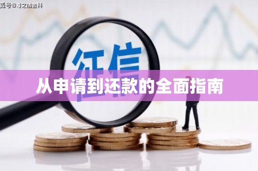 纳雍从申请到还款的全面指南