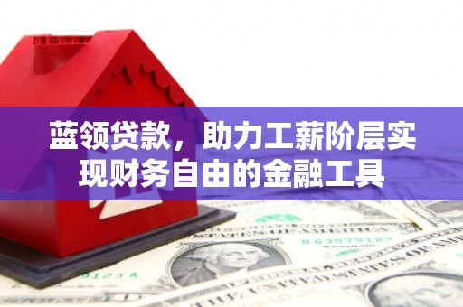 纳雍蓝领贷款，助力工薪阶层实现财务自由的金融工具